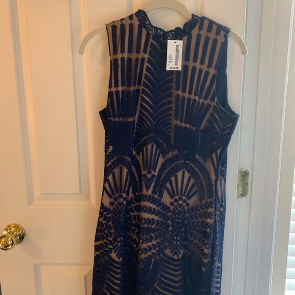 Tan and Navy Cocktail Lace dress! - Picture 2 of 4
